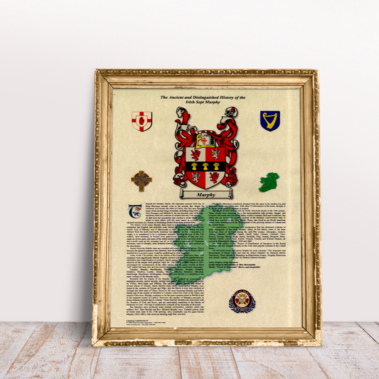 irish-history-surname-print