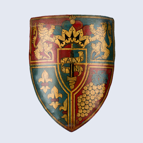A sample hand-Painted Bespoke Coat of Arms Shield dispalying a particular heraldry.