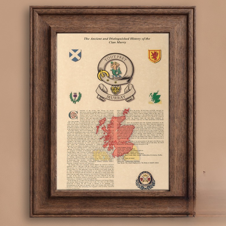 Scottish-clan-print