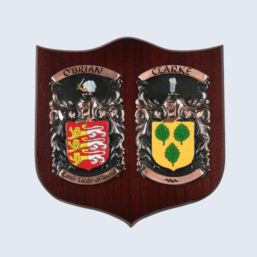 A sample shot of a Bespoke Coat of Arms Shield with surname history on it.